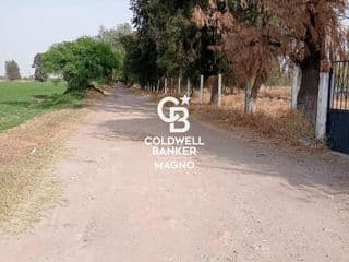 Lote / Terreno en Venta en Plancarte