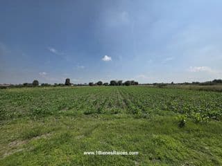 Lote / Terreno en Venta en Residencial
