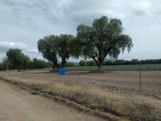 Rancho / Huerta en Venta en San Luis Rey