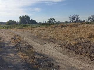 Lote / Terreno en Renta en Rancho Seco