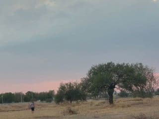 Lote / Terreno en Venta en Villas Jardín