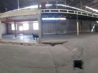 Nave Industrial / Bodega en Renta en Centro Histórico
